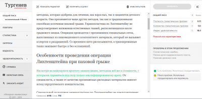 Сервис Тургенев.Ашманов Проверка статьи по сервису Тургенев.Ашманов